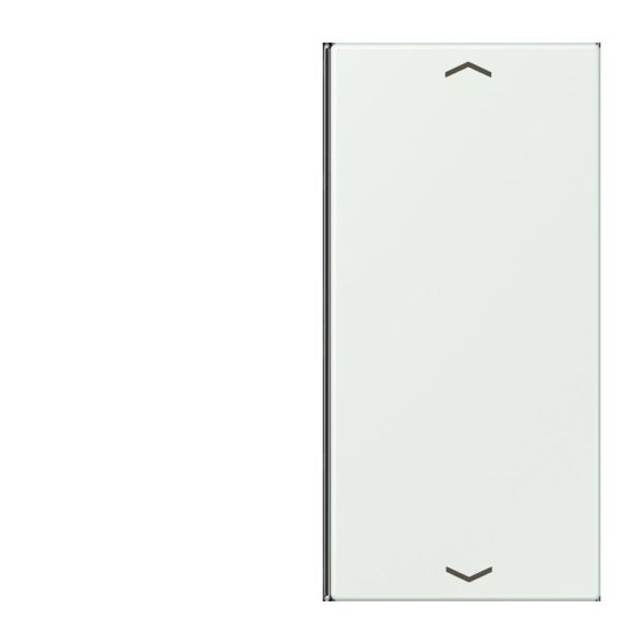 Taste 2fach m. Pfeilsymb. LC 402 TSAP 210