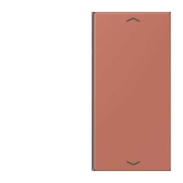 Taste 2fach m. Pfeilsymb. LC 402 TSAP 236