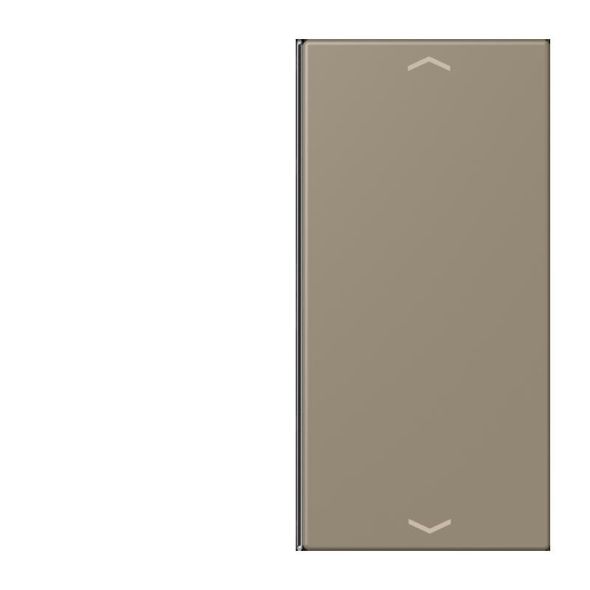 Taste 2fach m. Pfeilsymb. LC 402 TSAP 242
