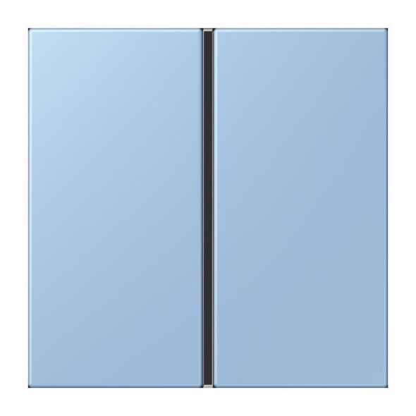 Tastensatz 1fach LC 401 TSA 207