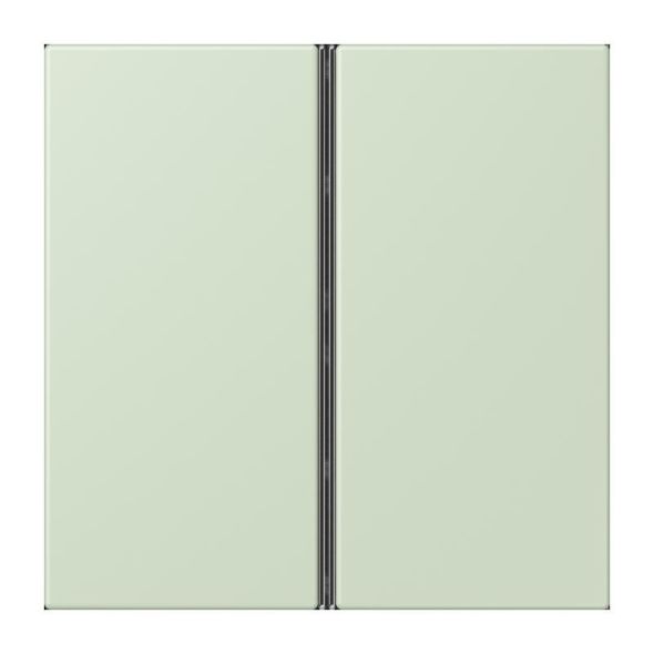 Tastensatz 2fach LC 402 TSA 218