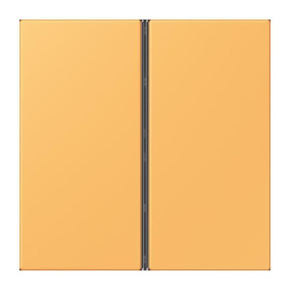 Tastensatz 2fach LC 402 TSA 254