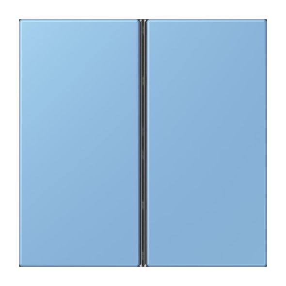 Tastensatz 2fach LC 402 TSA 256