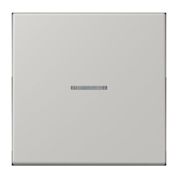 Wippe mit Lichtleiter LC 101 KO5 205