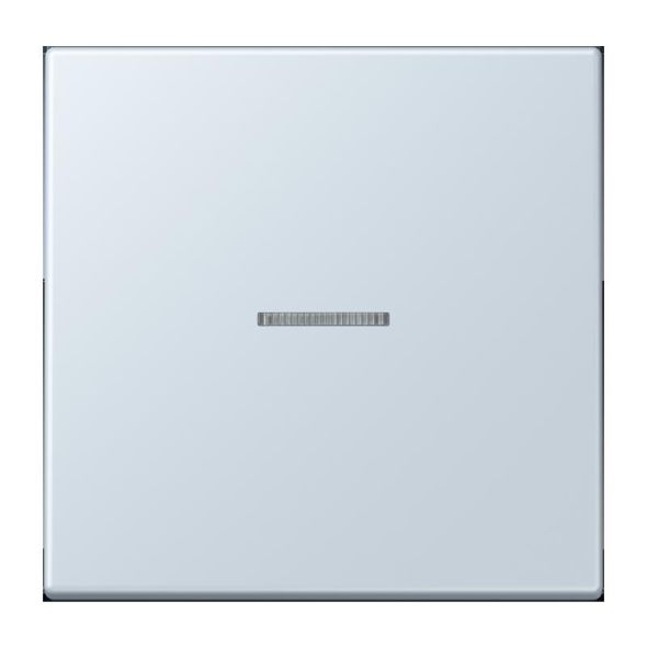 Wippe mit Lichtleiter LC 101 KO5 209