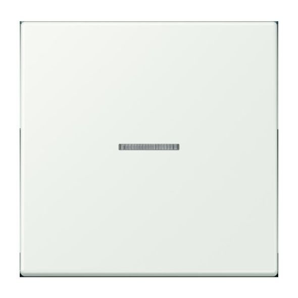 Wippe mit Lichtleiter LC 101 KO5 210