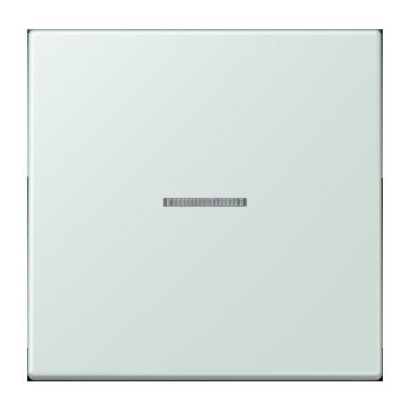 Wippe mit Lichtleiter LC 101 KO5 215
