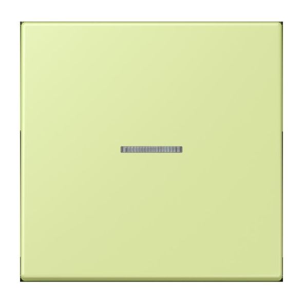 Wippe mit Lichtleiter LC 101 KO5 222