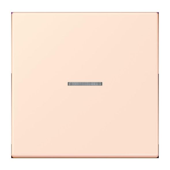 Wippe mit Lichtleiter LC 101 KO5 226