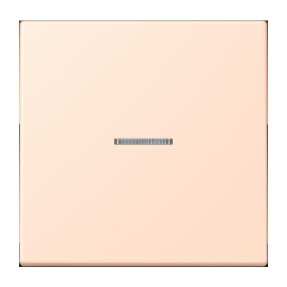 Wippe mit Lichtleiter LC 101 KO5 228