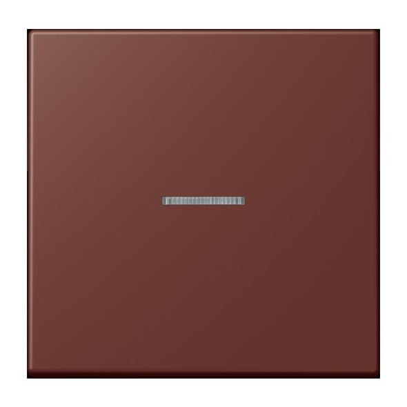 Wippe mit Lichtleiter LC 101 KO5 235