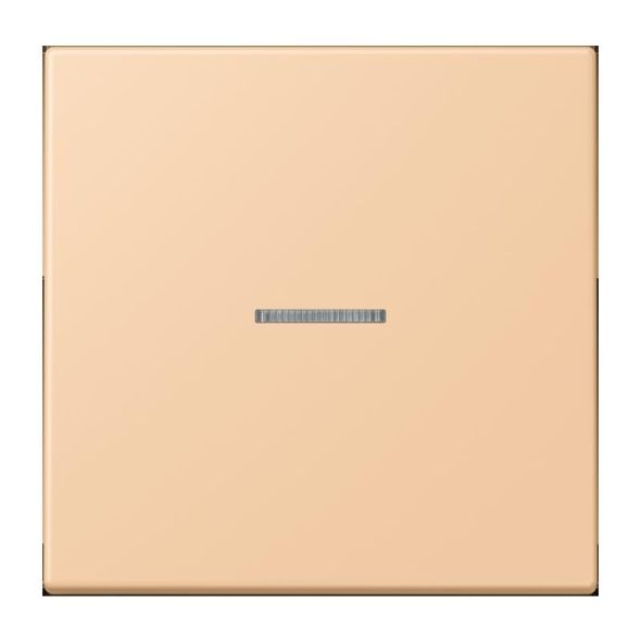 Wippe mit Lichtleiter LC 101 KO5 237