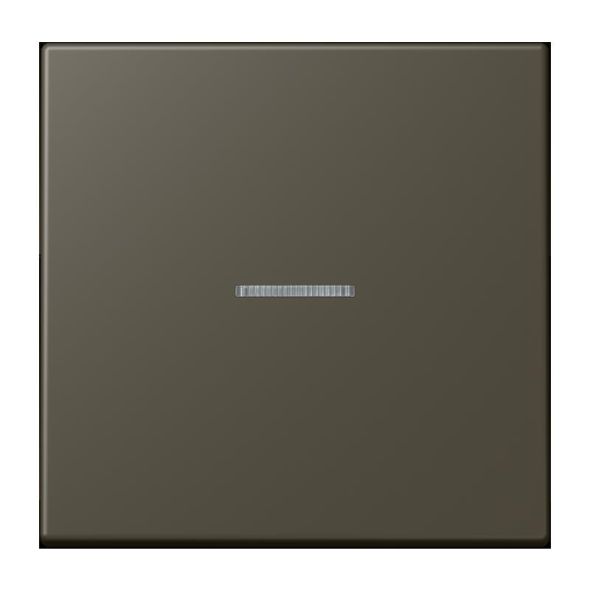Wippe mit Lichtleiter LC 101 KO5 241