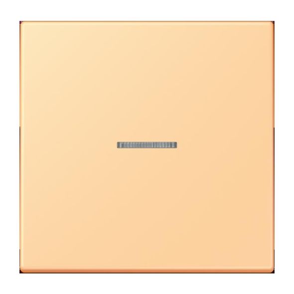 Wippe mit Lichtleiter LC 101 KO5 258