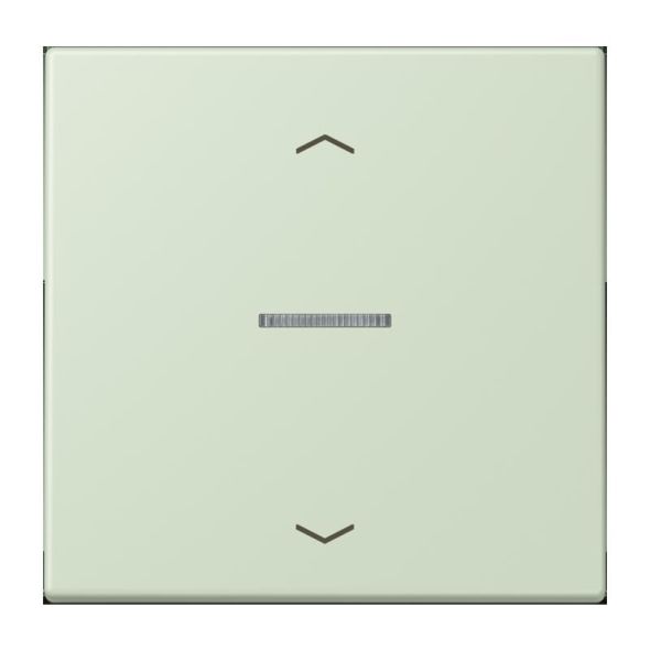 Wippe mit Lichtleiter LC 101 KO5P 218