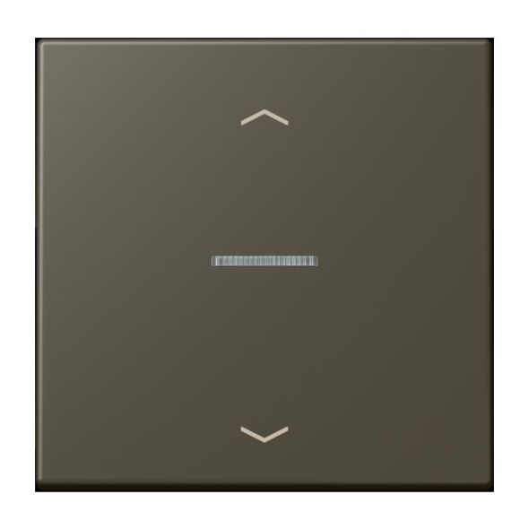 Wippe mit Lichtleiter LC 101 KO5P 241