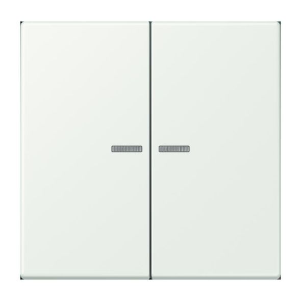 Wippe mit Lichtleiter LC 102 KO5 210