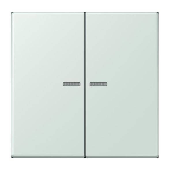 Wippe mit Lichtleiter LC 102 KO5 215