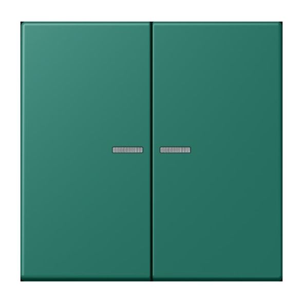 Wippe mit Lichtleiter LC 102 KO5 216