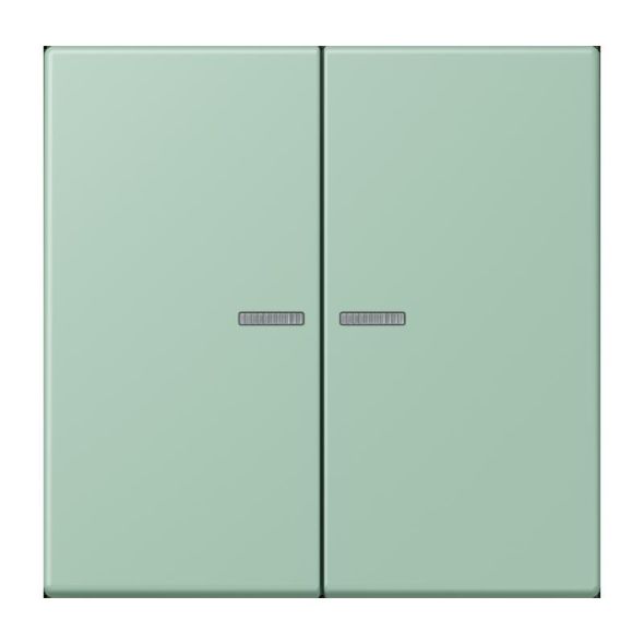 Wippe mit Lichtleiter LC 102 KO5 217