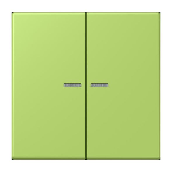 Wippe mit Lichtleiter LC 102 KO5 221