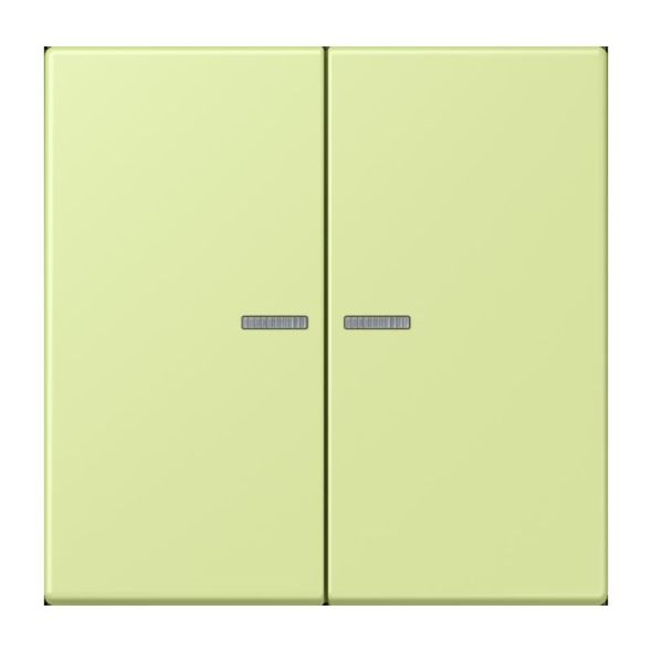 Wippe mit Lichtleiter LC 102 KO5 222