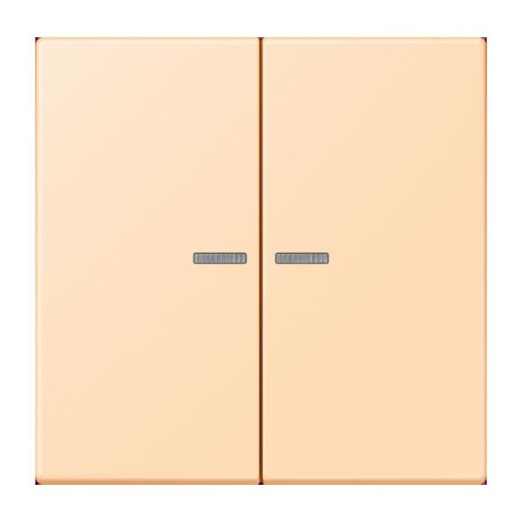 Wippe mit Lichtleiter LC 102 KO5 223
