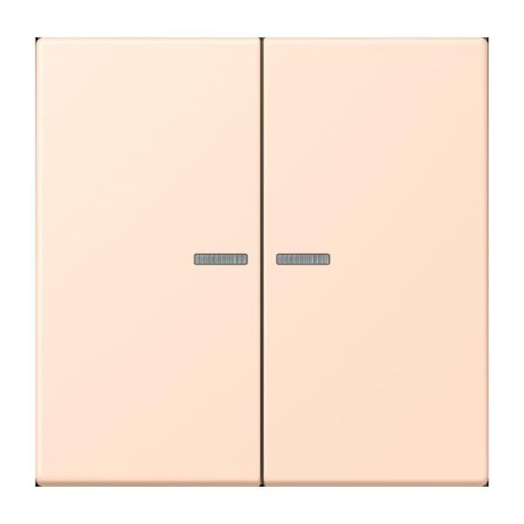 Wippe mit Lichtleiter LC 102 KO5 228