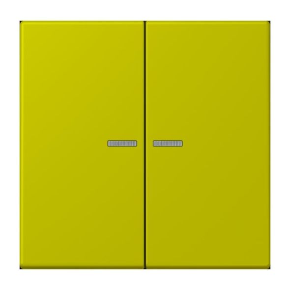 Wippe mit Lichtleiter LC 102 KO5 249