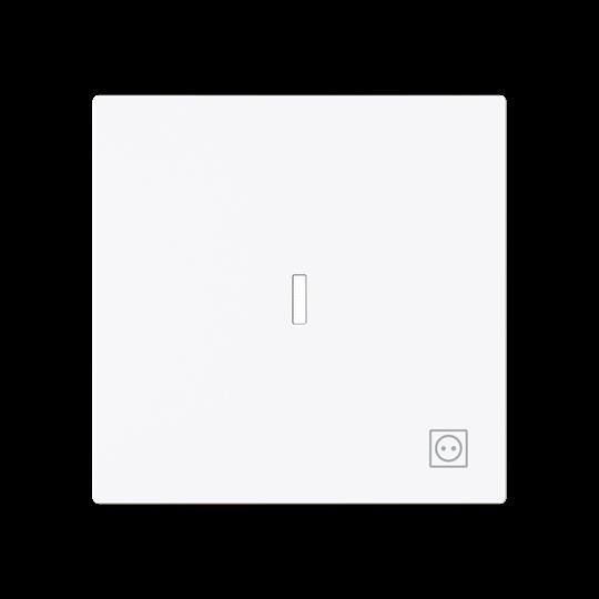 Wippe mit Symbol Stecker 1789 ST-44G
