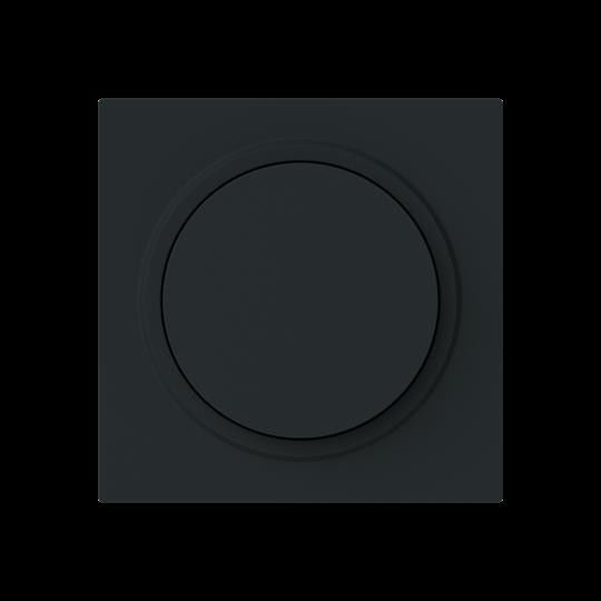 Zentralscheibe 6540-45M-102