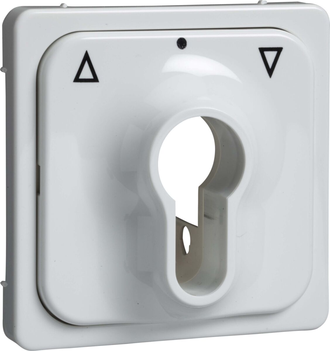 Zentralplatte rw 203034