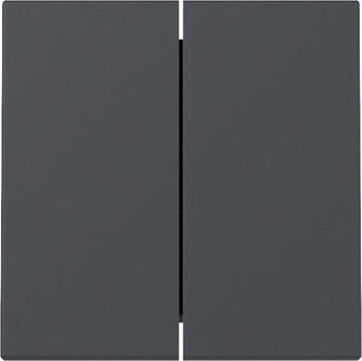 Wippe 329528 2-fach anthrazit - neue Generation