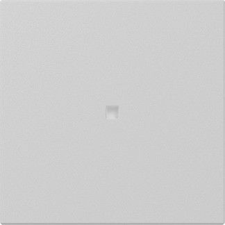 Wippe 3490015 gerade Kontrollf. grau matt - neue Generation
