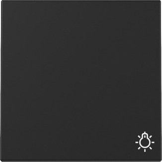 Wippe 3285005 Symb. Licht schwarz matt - neue Generation 