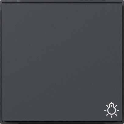 Wippe Symbol Licht 328567 anthrazit - neue Generation