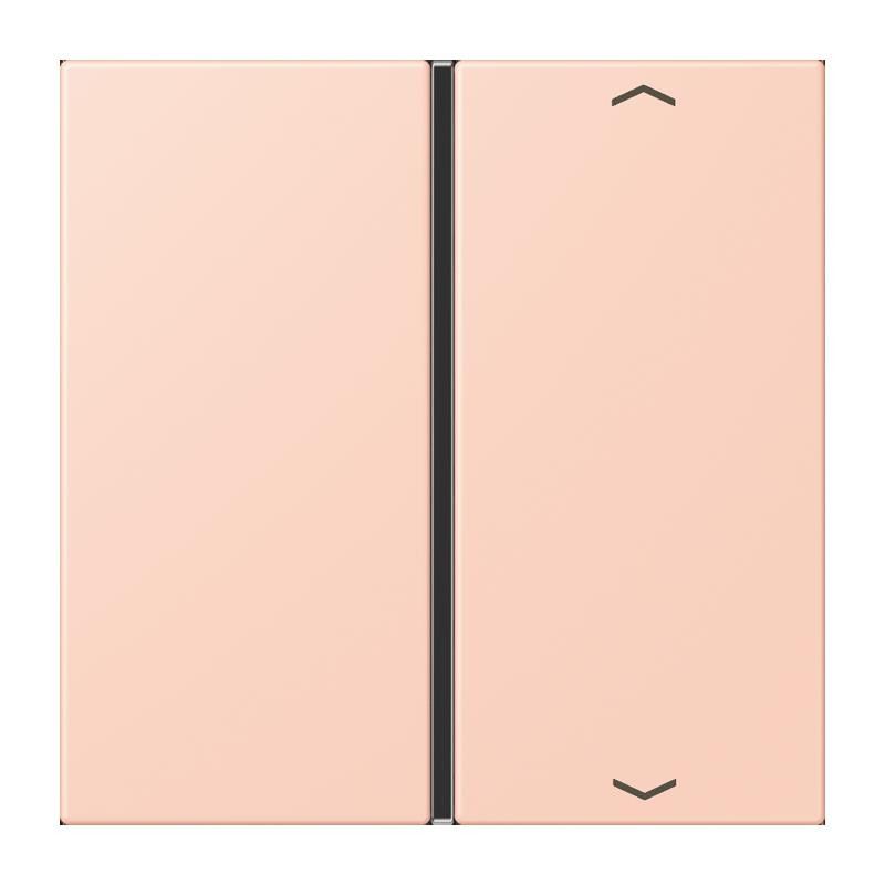 Taste 1fach m. Pfeilsymb. LC 401 TSAP 234