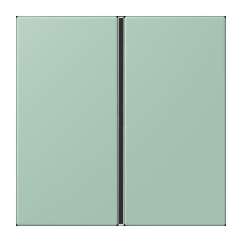 Tastensatz 1fach LC 401 TSA 217
