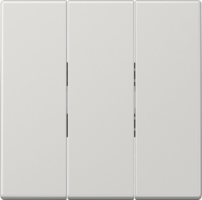 Wippe 3-fach LS 993 BF LG