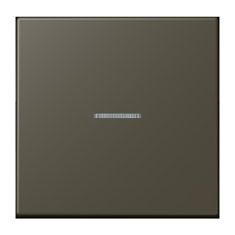 Wippe mit Lichtleiter LC 101 KO5 241