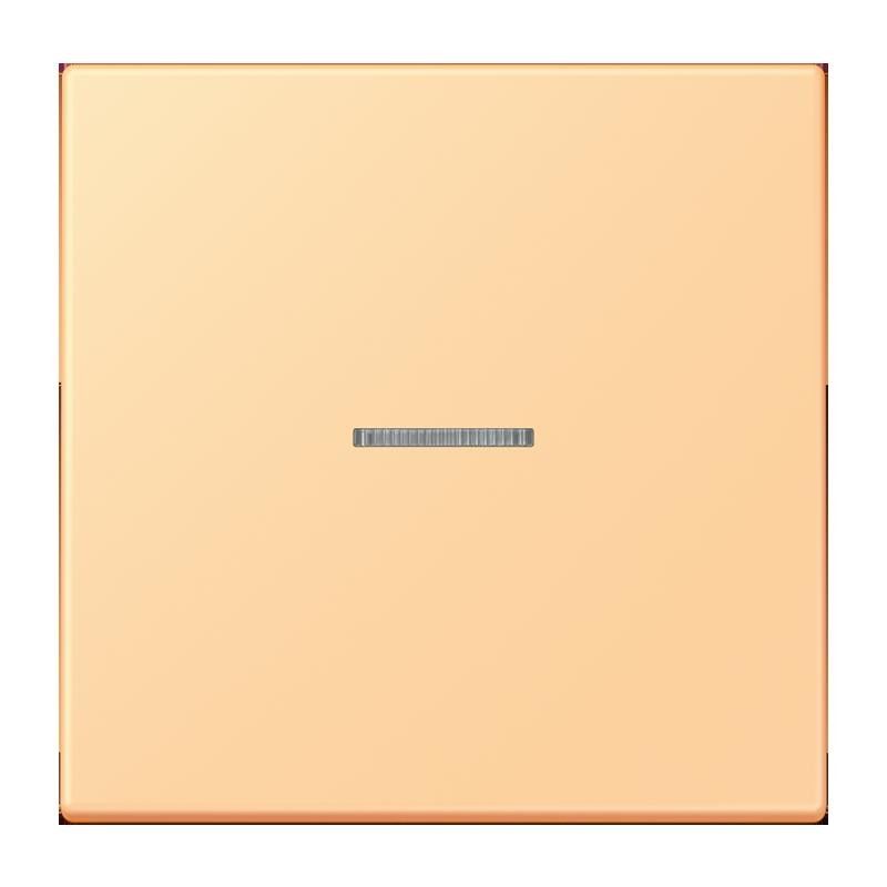 Wippe mit Lichtleiter LC 101 KO5 258