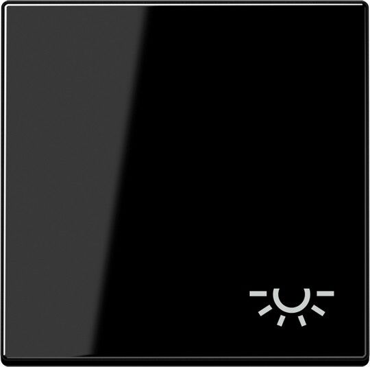 Wippe Symbol Licht A 590 BF L SW