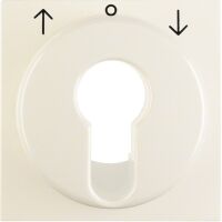 Zentralstück 15088982