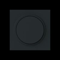 Zentralscheibe 6540-45M-102