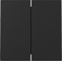 Wippe 3295005 2-fach schwarz matt - neue Generation 