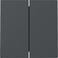 Wippe 329528 2-fach anthrazit - neue Generation