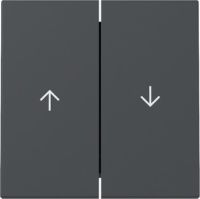 Wippe 329428 2f Pfeil anthrazit - neue Generation