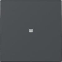 Wippe 329028 Kontrollf. anthrazit - neue Generation