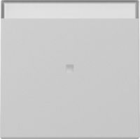 Wippe 3670015 Kontrollf. grau matt - neue Generation