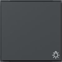 Wippe Symbol Licht 328567 anthrazit - neue Generation